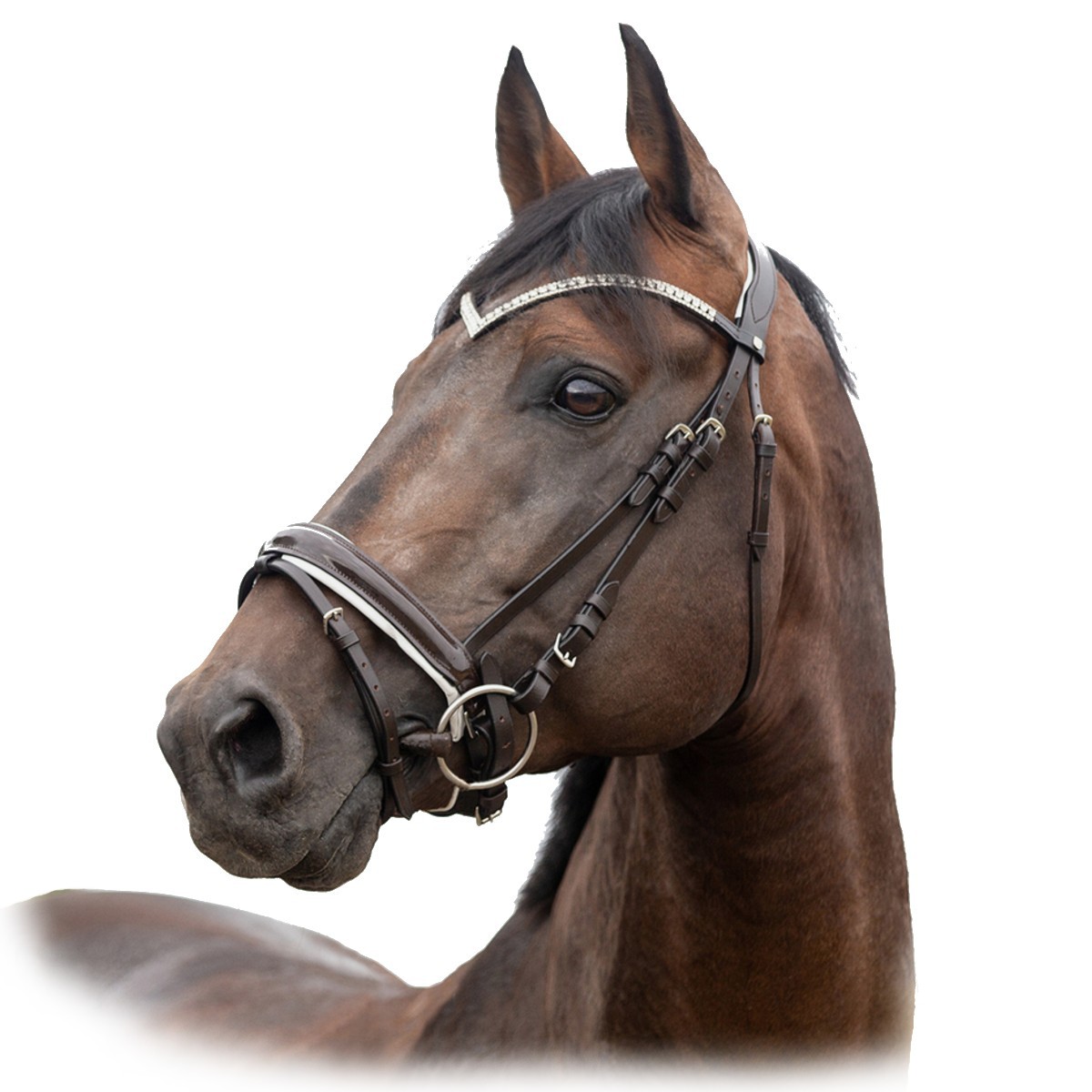 Оголовье трензельное "Grayson" Оголовье трензельное "Grayson"