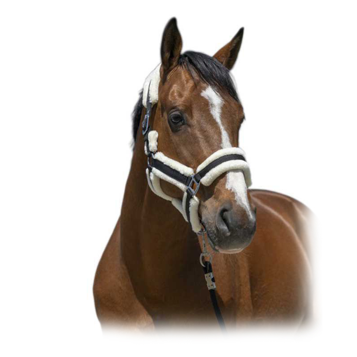 Недоуздок с мехом "COSY" Недоуздок с мехом "COSY"