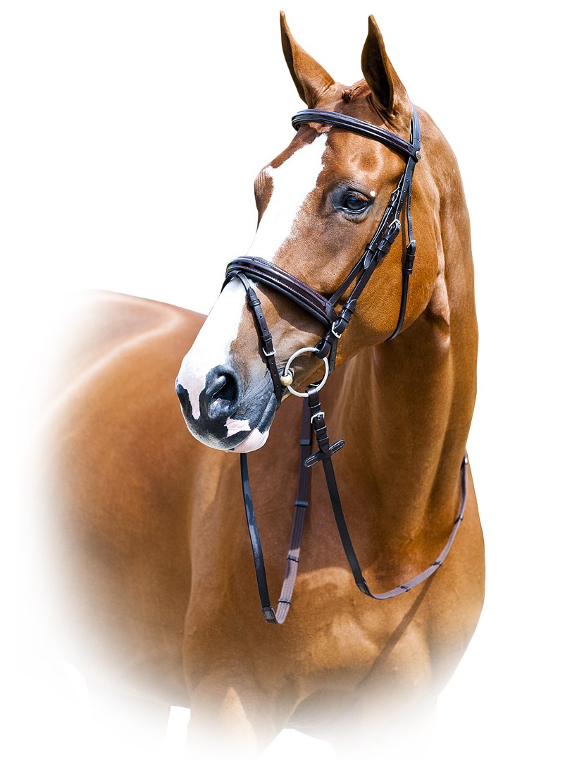 Оголовье трензельное "Horze Prague"