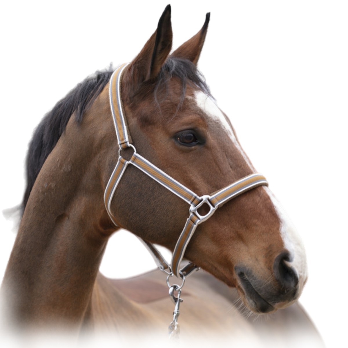 Недоуздок нейлоновый "LINE" на флисовой подложке Недоуздок нейлоновый "LINE" на флисовой подложке