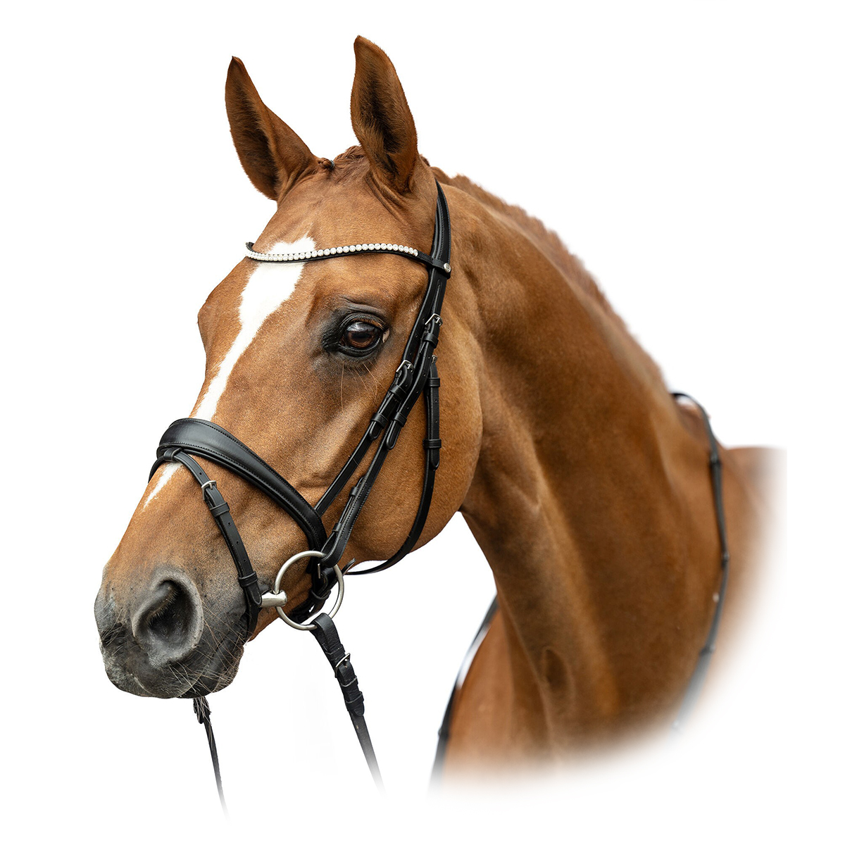 Оголовье трензельное НКМ "Melinda"