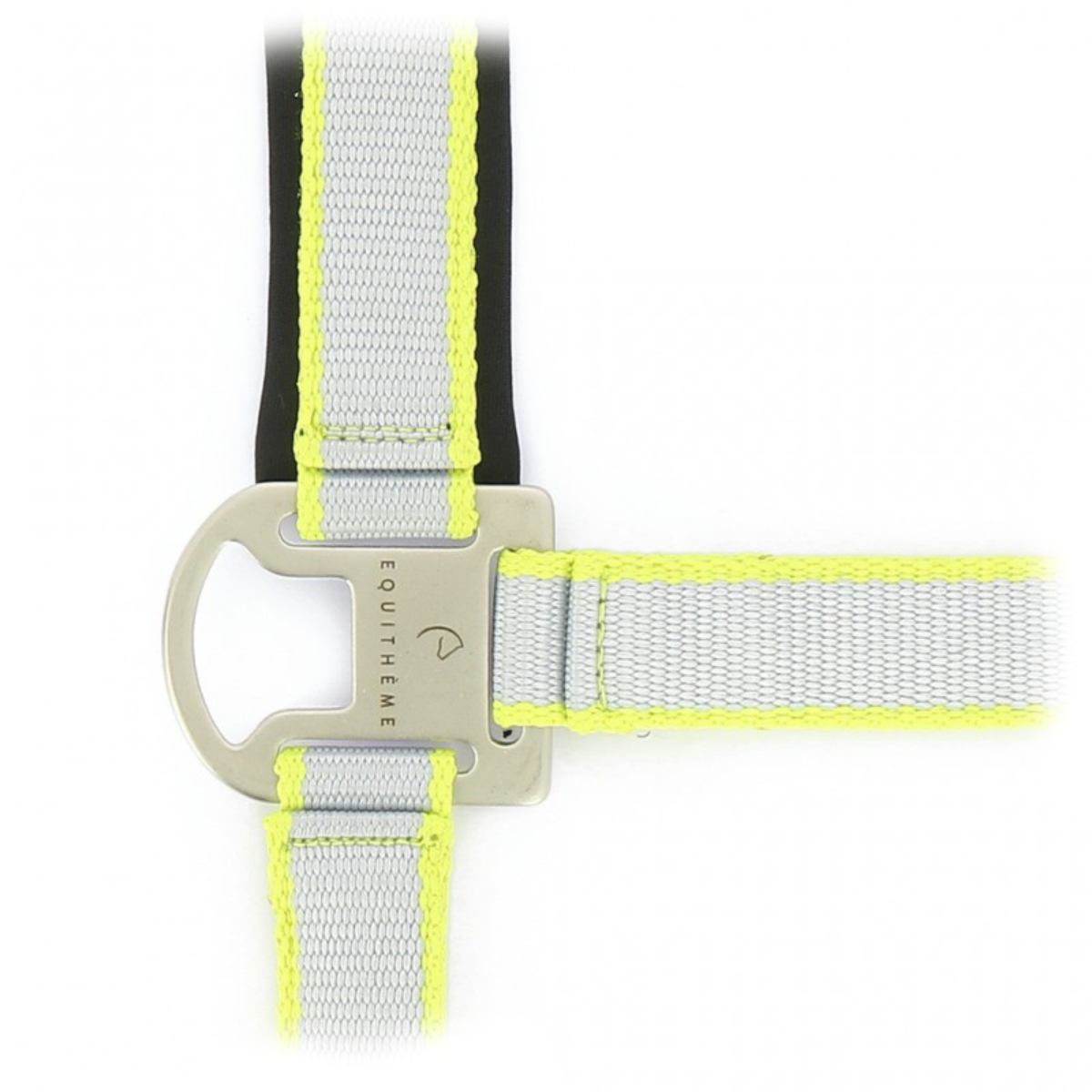 Комплект "SATINÉ” (недоуздок+чумбур) Комплект "SATINÉ” (недоуздок+чумбур)