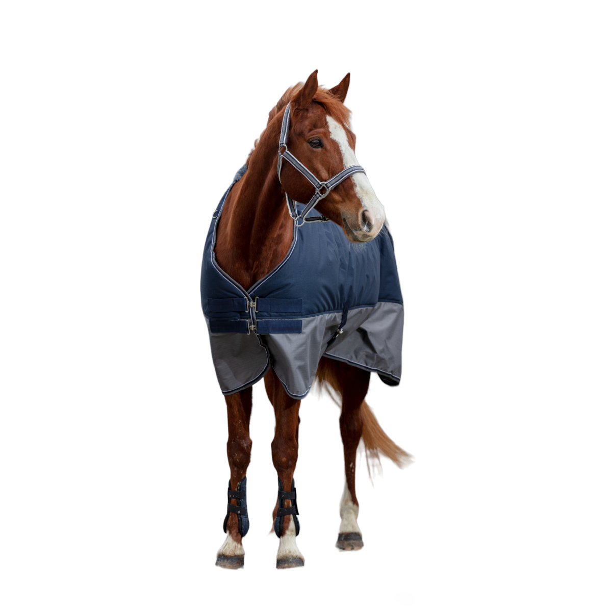 Попона противодождевая на флисе без капора для лошади
