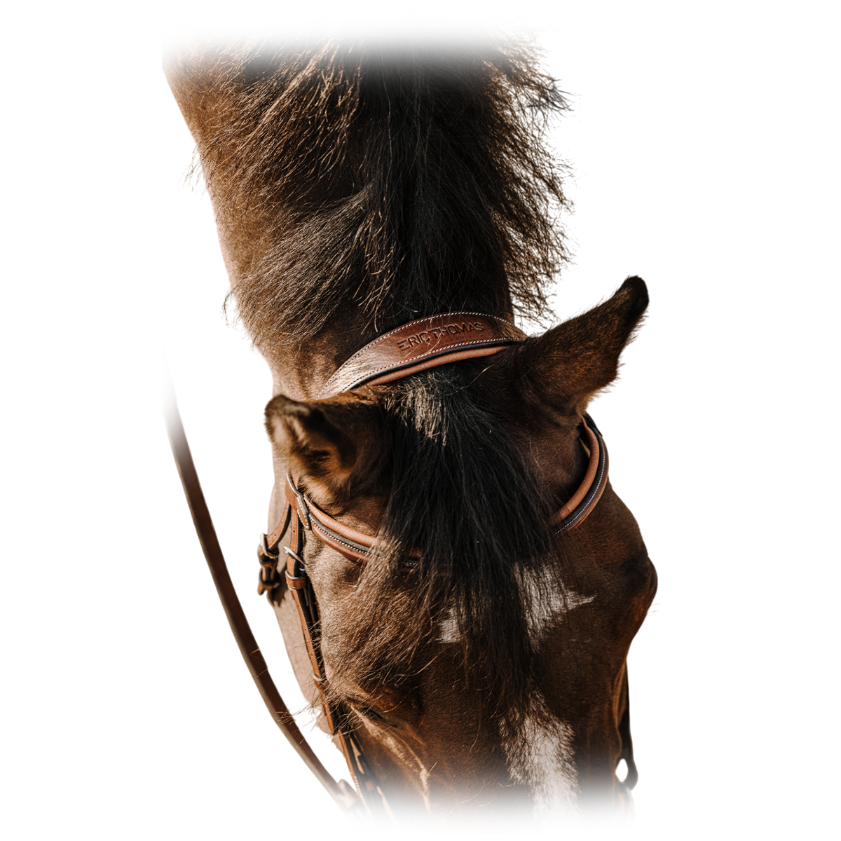 Оголовье трензельное "Work" Оголовье трензельное "Work"