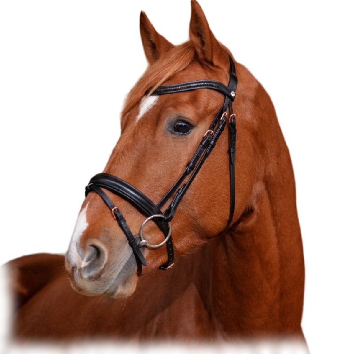 Оголовье трензельное "GRAVURE" Оголовье трензельное "GRAVURE"