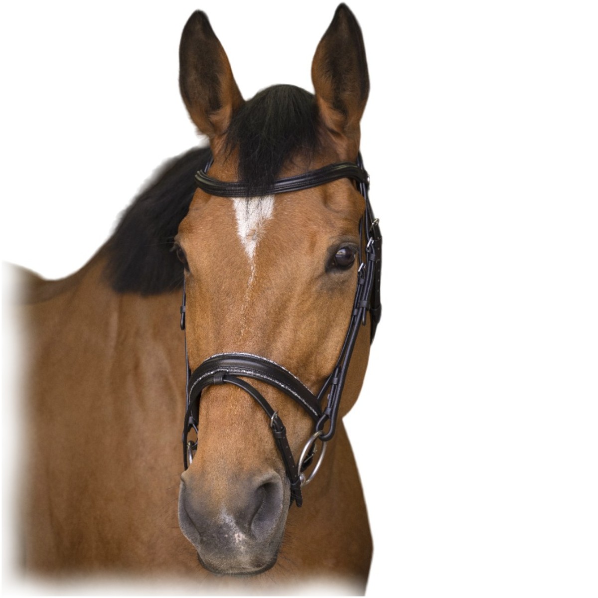 Оголовье трензельное "ROCK" Оголовье трензельное "ROCK"