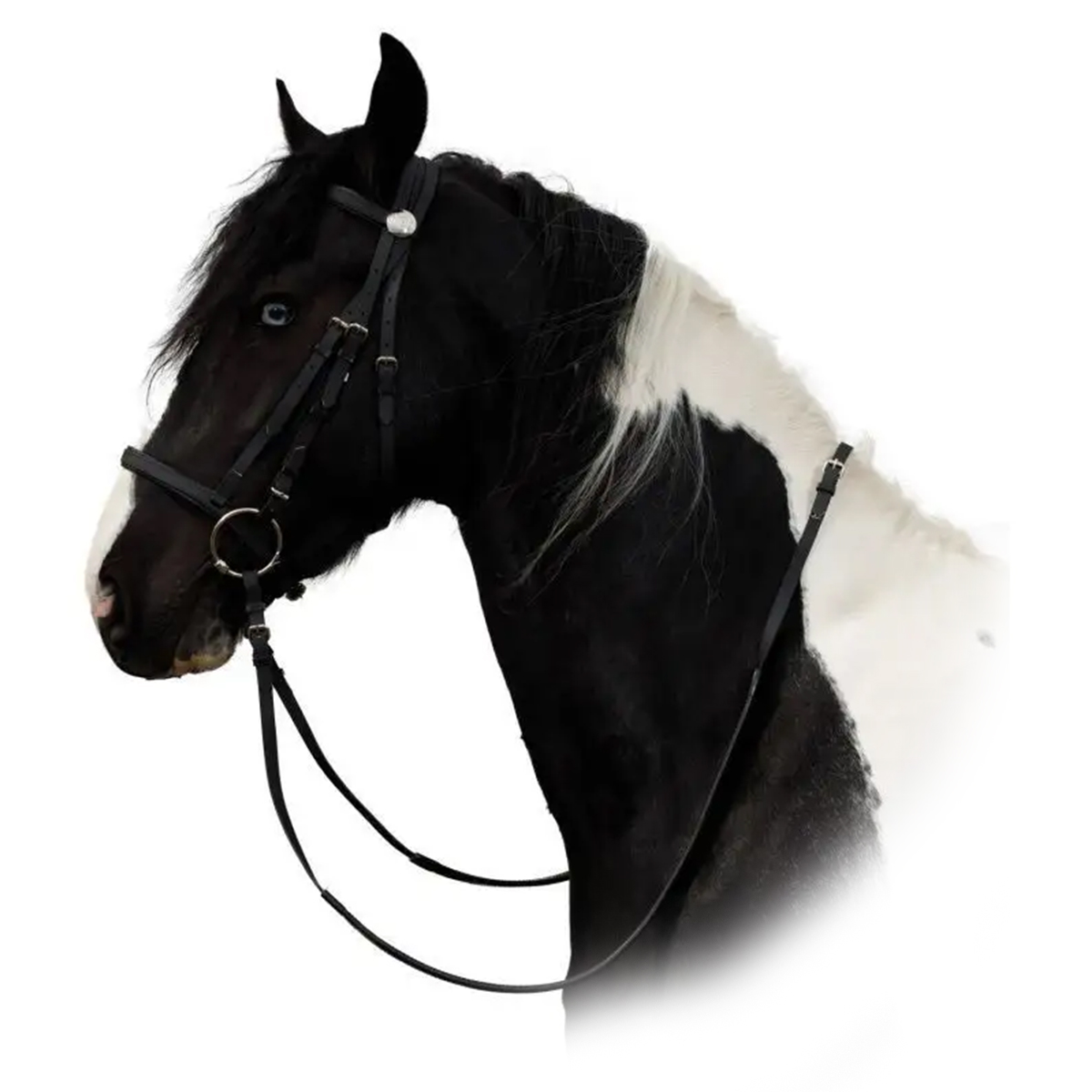 Оголовье трензельное из биотана в комплекте