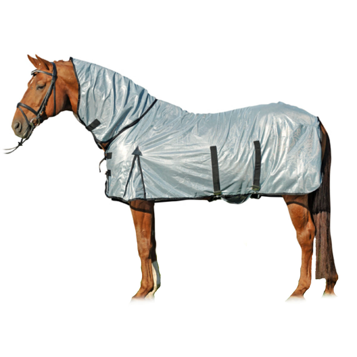 Попона-сетка "НКМ" с капором для лошади