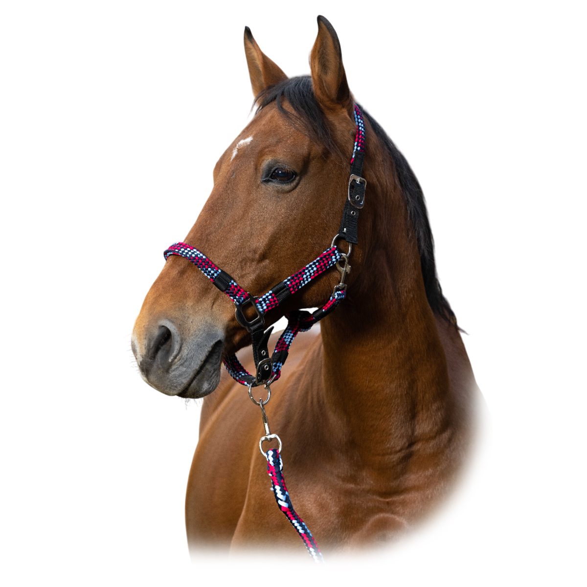 Комплект "TRESSÉ” (недоуздок+чумбур) Комплект "TRESSÉ” (недоуздок+чумбур)