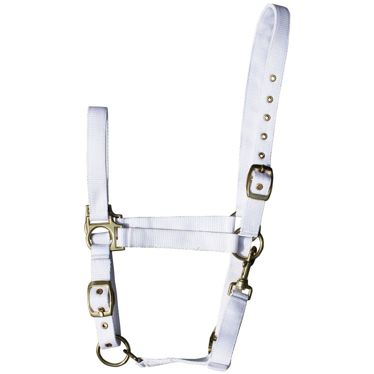 Недоуздок Недоуздок