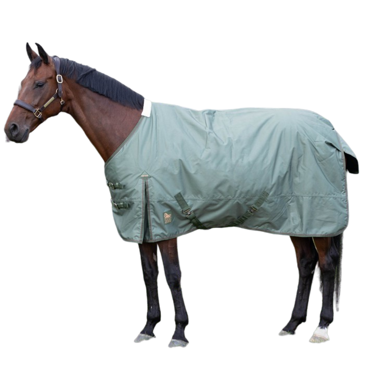Попона противодождевая WI23 для лошади Попона противодождевая WI23 для лошади