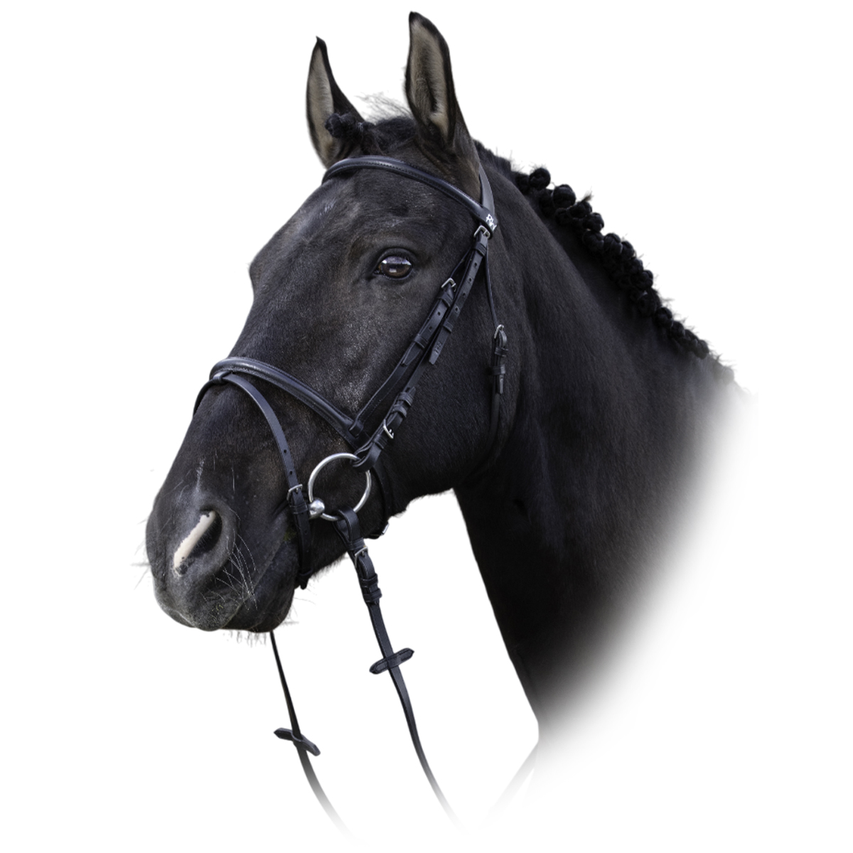 Оголовье трензельное "MUSEROLLE COMBINÉE"