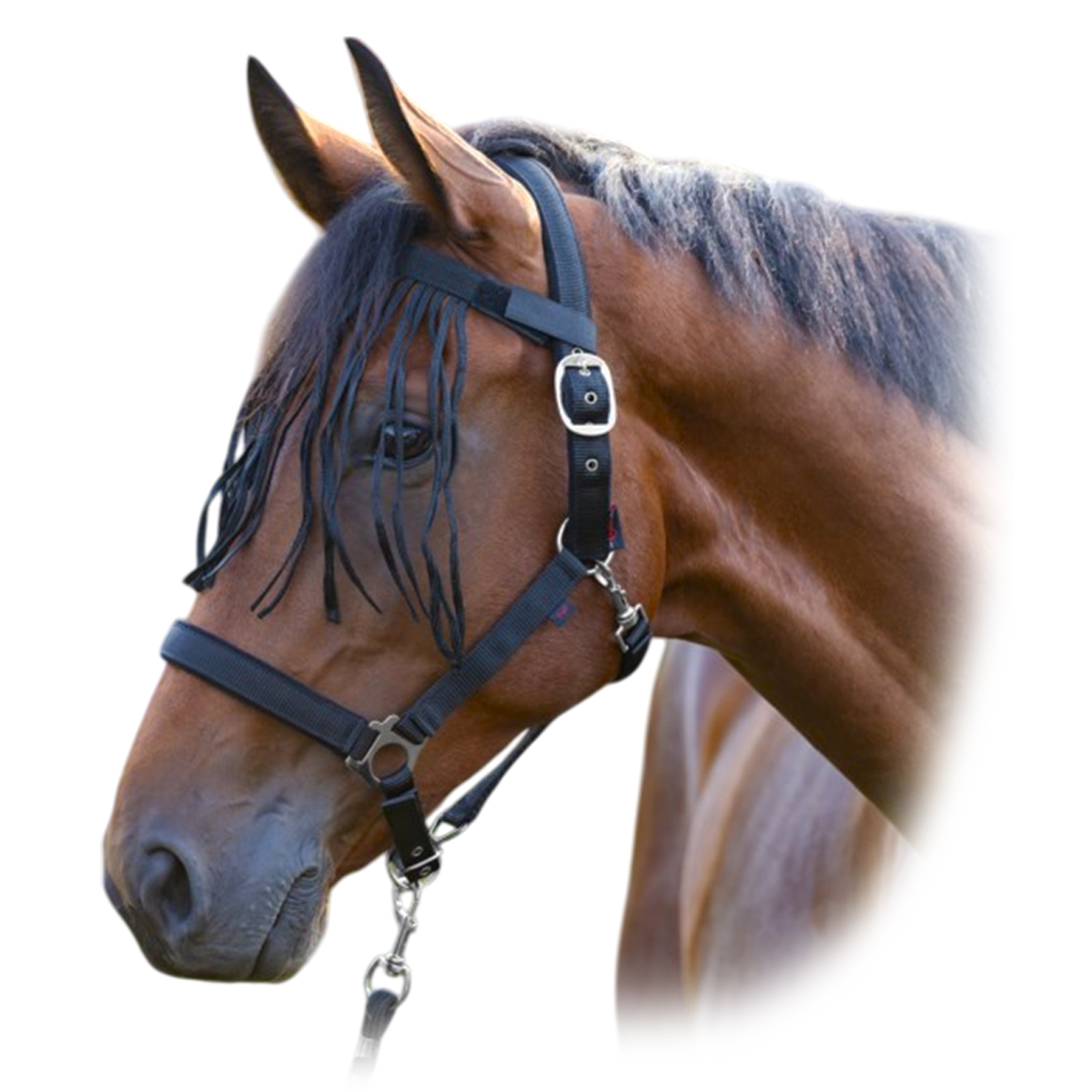 Налобник от насекомых