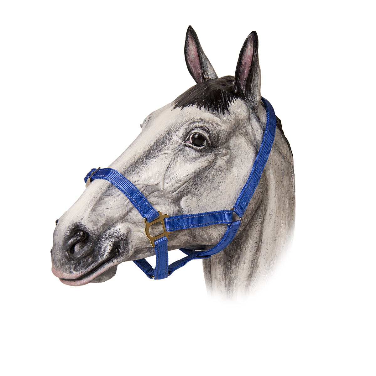 Недоуздок нейлоновый светоотражающий TAYGA