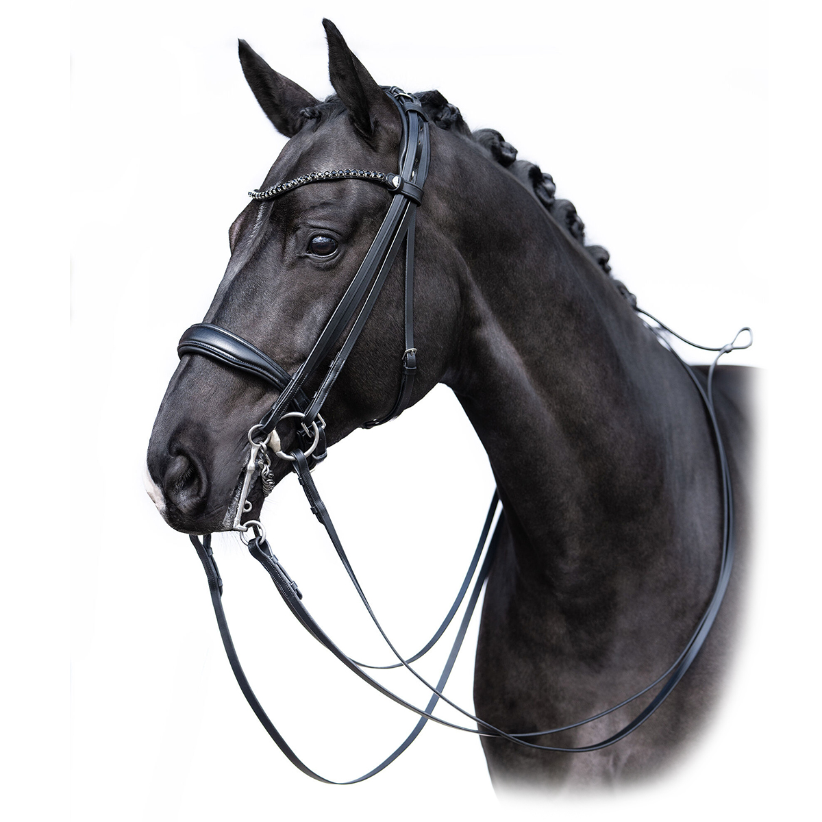 Оголовье мундштучное Grace