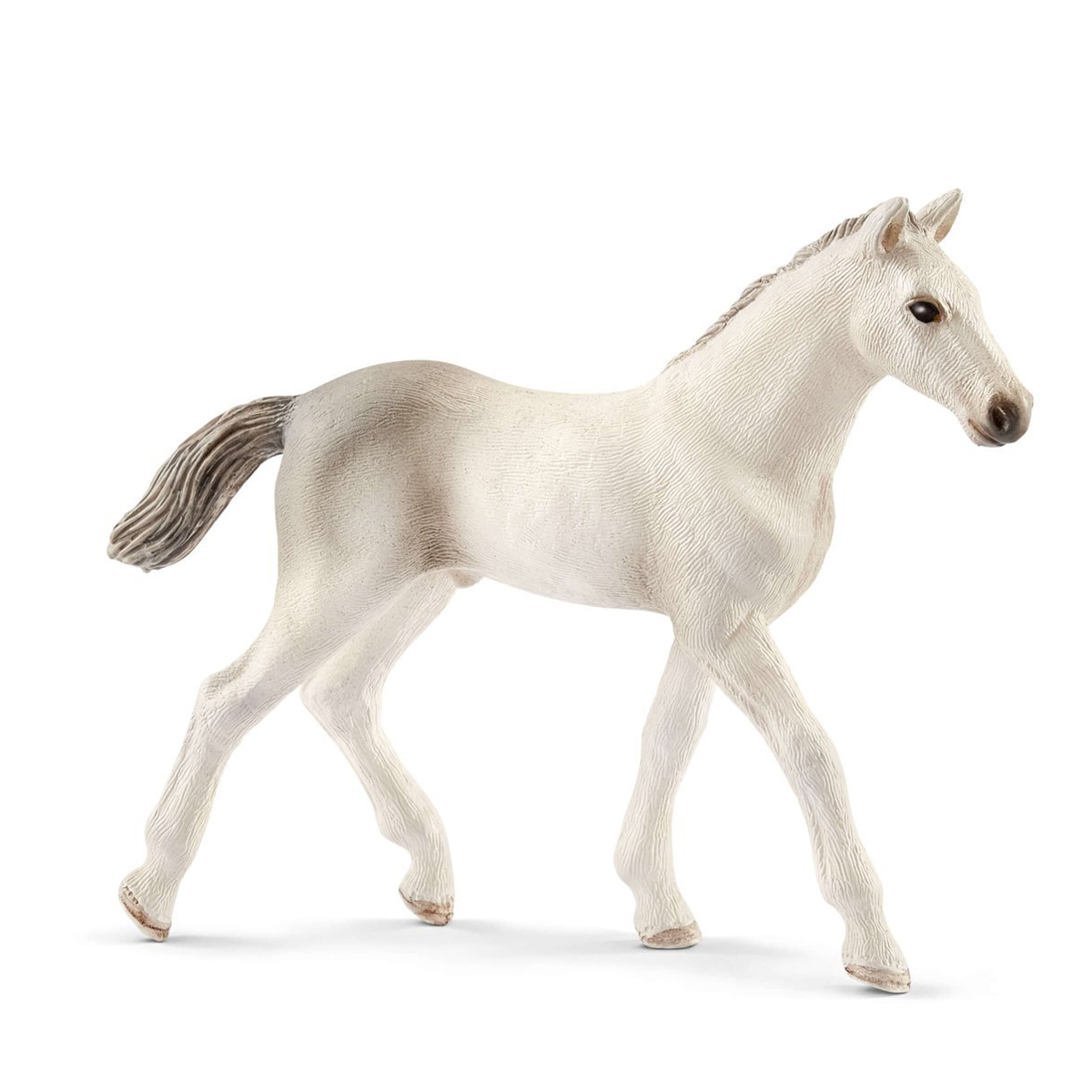 Голштинский жеребенок Голштинский жеребенок