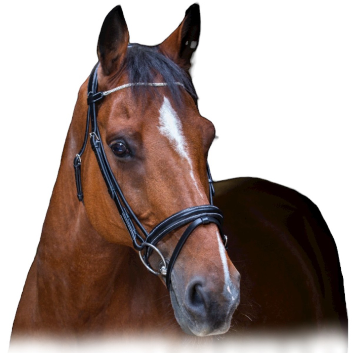 Оголовье трензельное "STRASS" Оголовье трензельное "STRASS"