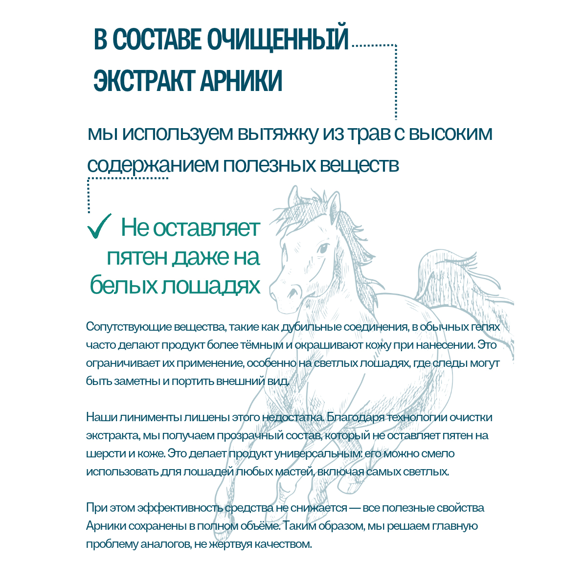 Линимент EQUIMAN «АРНИКА КЛАССИК», 1 л