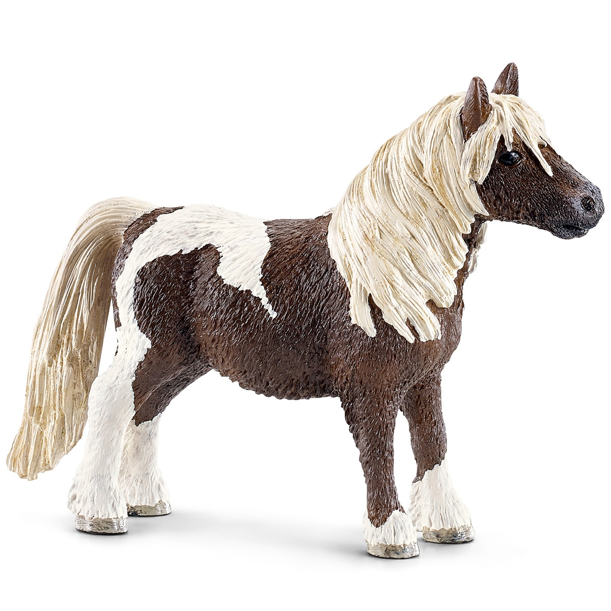 Жеребец Шетланд Жеребец Шетланд