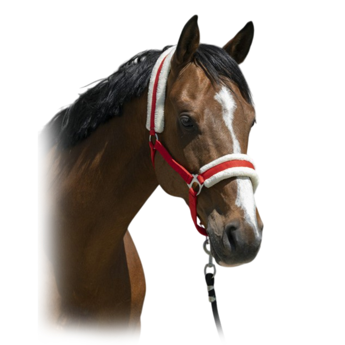 Недоуздок с мехом Недоуздок с мехом