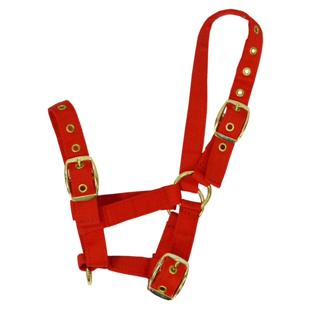 Недоуздок нейлоновый для жеребенка "EQUIMAN" Недоуздок нейлоновый для жеребенка "EQUIMAN"