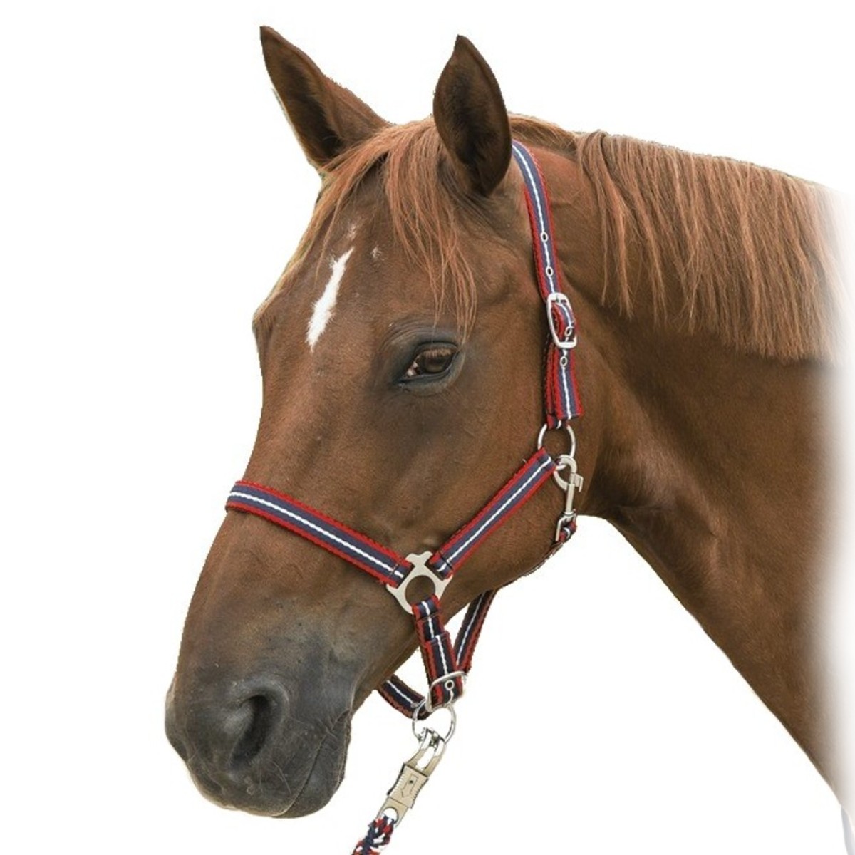 Недоуздок нейлоновый трехцветный Недоуздок нейлоновый трехцветный