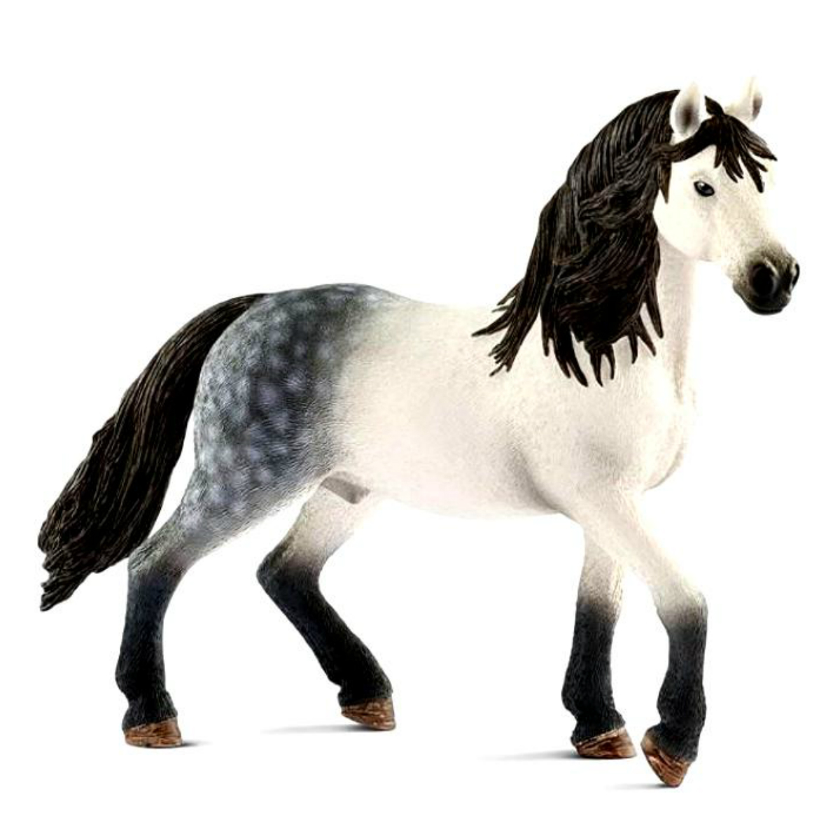 Жеребец андалузский Жеребец андалузский