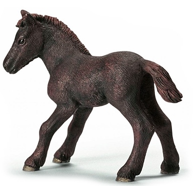 Жеребенок камаргу