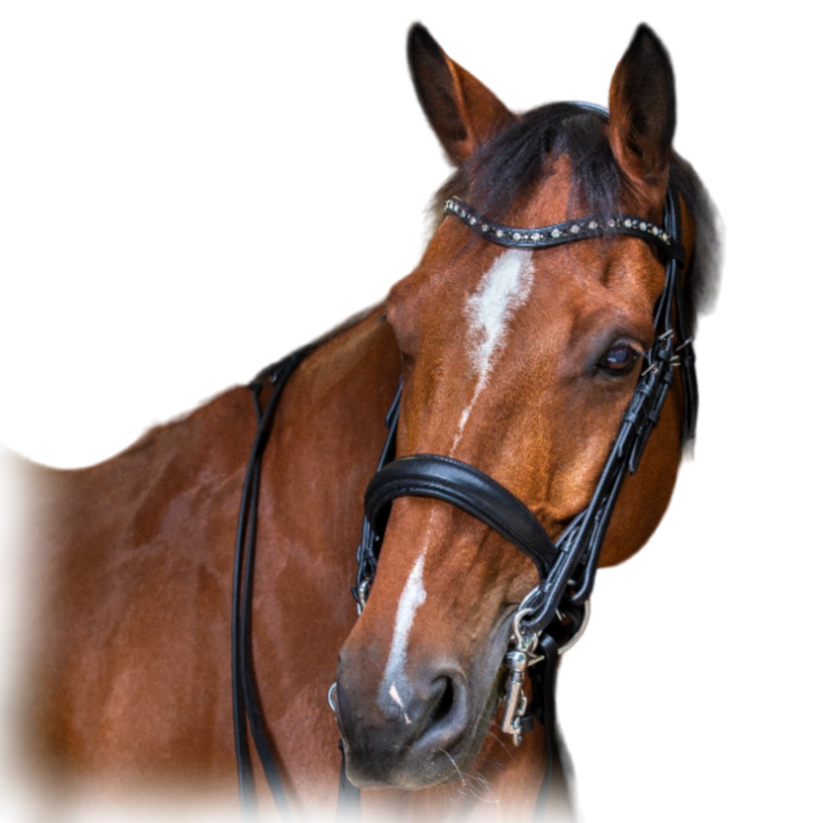 Оголовье мундштучное "HYBRID"