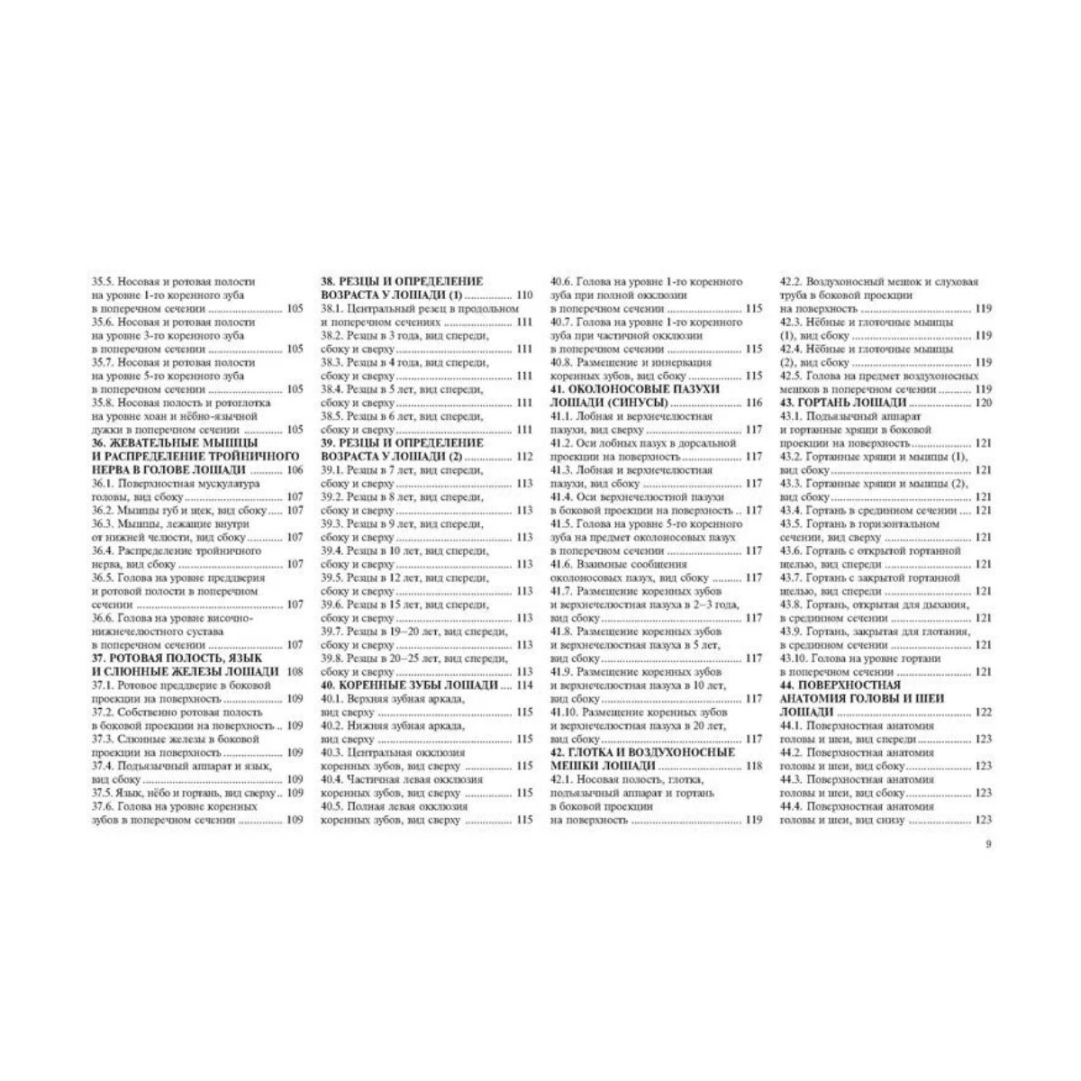 Топографическая анатомия лошади, Гуди П. К. Топографическая анатомия лошади, Гуди П. К.