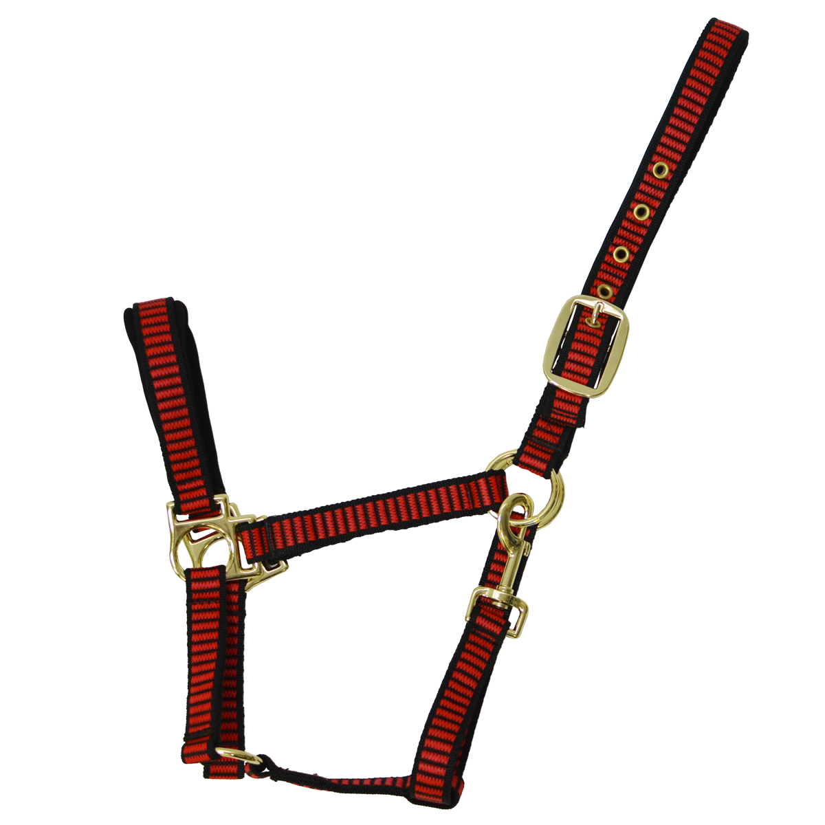 Недоуздок с подложкой "EQUIMAN" Недоуздок с подложкой "EQUIMAN"