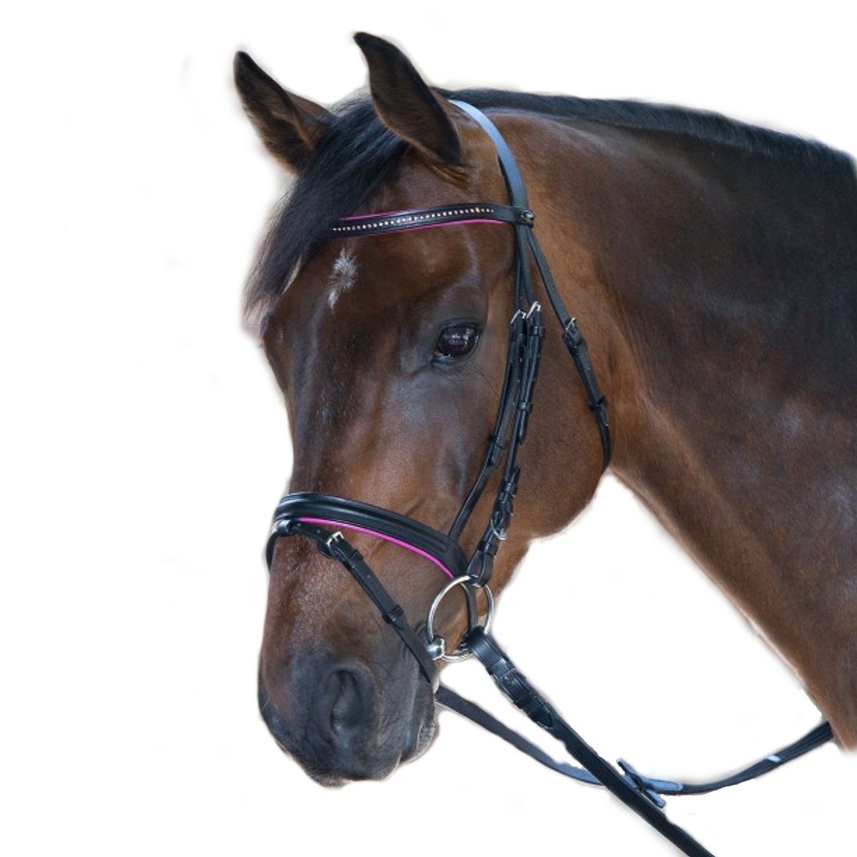 Оголовье трензельное со стразами 