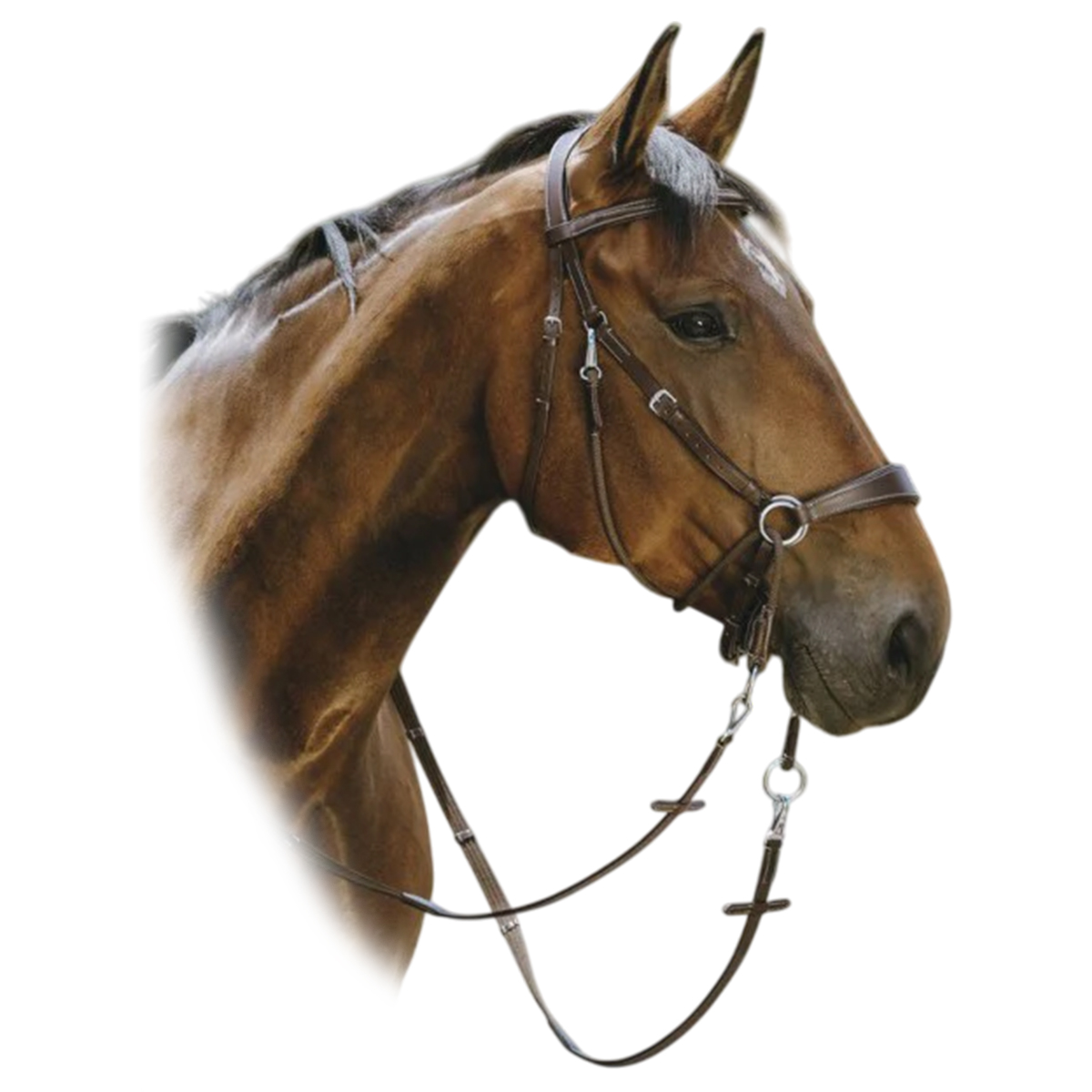 Оголовье безтрензельное Norton Pro Bitless Оголовье безтрензельное Norton Pro Bitless