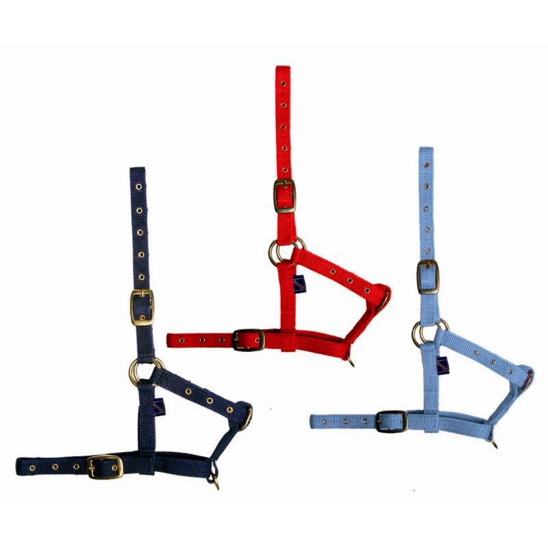 Недоуздок нейлоновый для жеребенка  Недоуздок нейлоновый для жеребенка