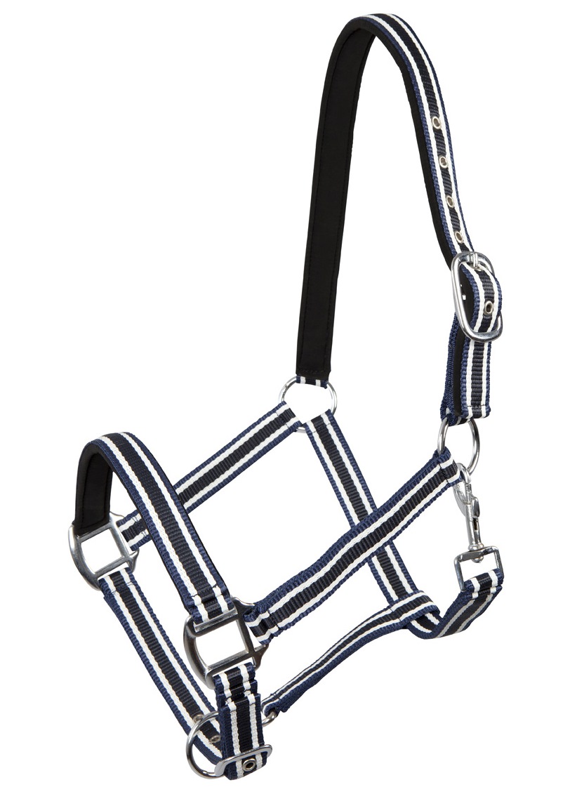 Недоуздок в полоску с подложкой Pfiff