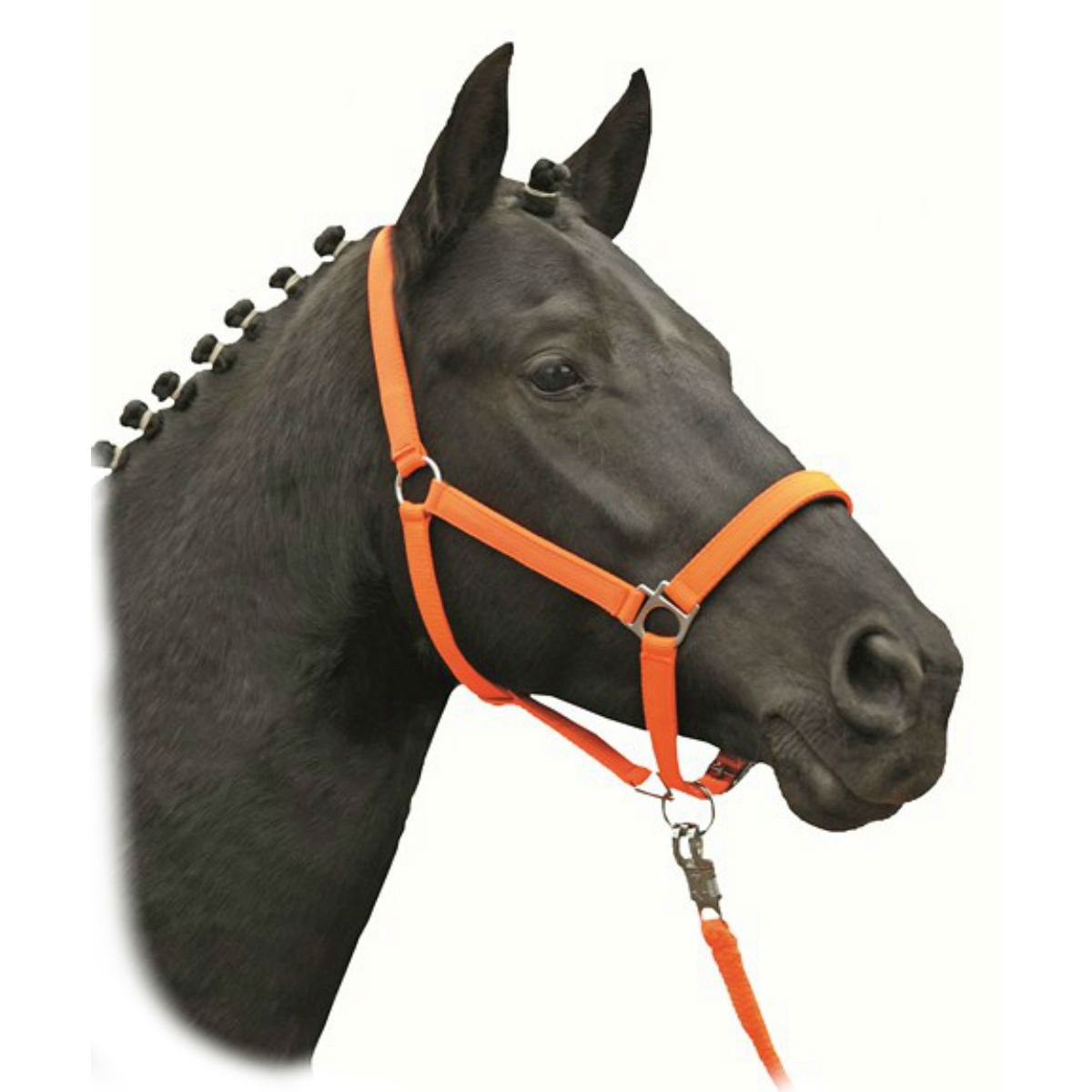 Недоуздок с подложкой НКМ