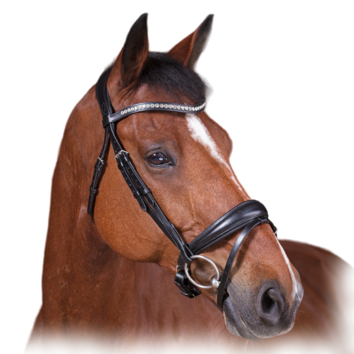 Оголовье трензельное "STRASS"