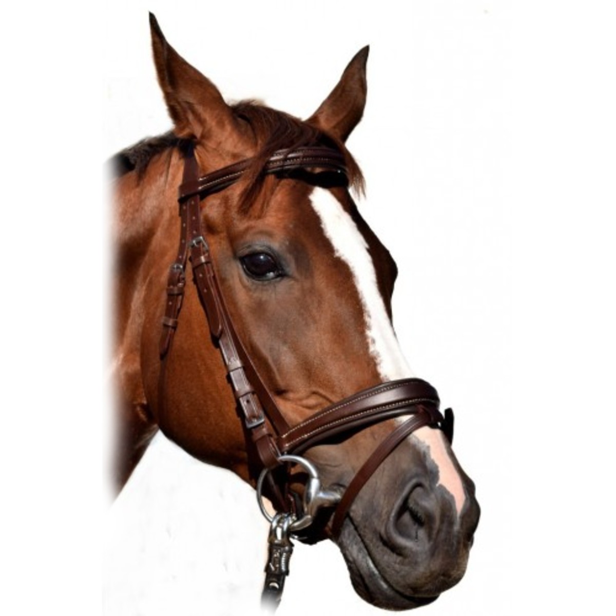 Оголовье трензельное с немецким капсюлем и подложкой Оголовье трензельное с немецким капсюлем и подложкой