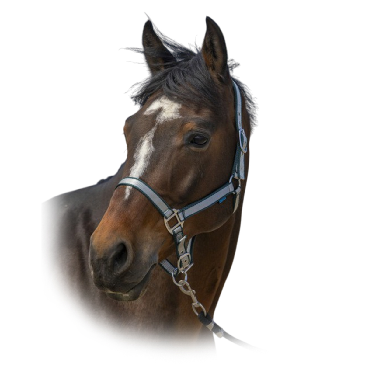 Недоуздок "Nylon Soft" 