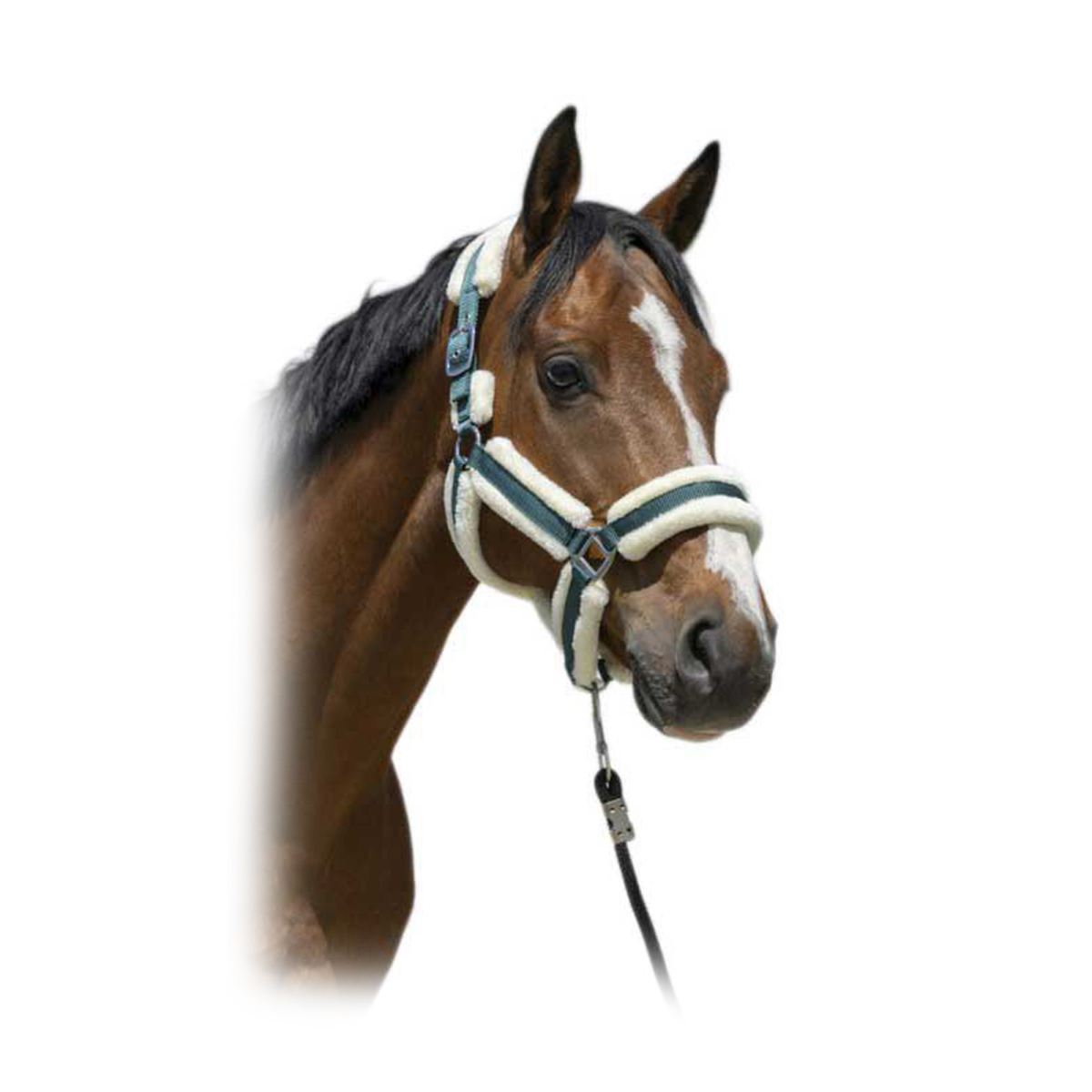 Недоуздок с мехом "COSY" Недоуздок с мехом "COSY"