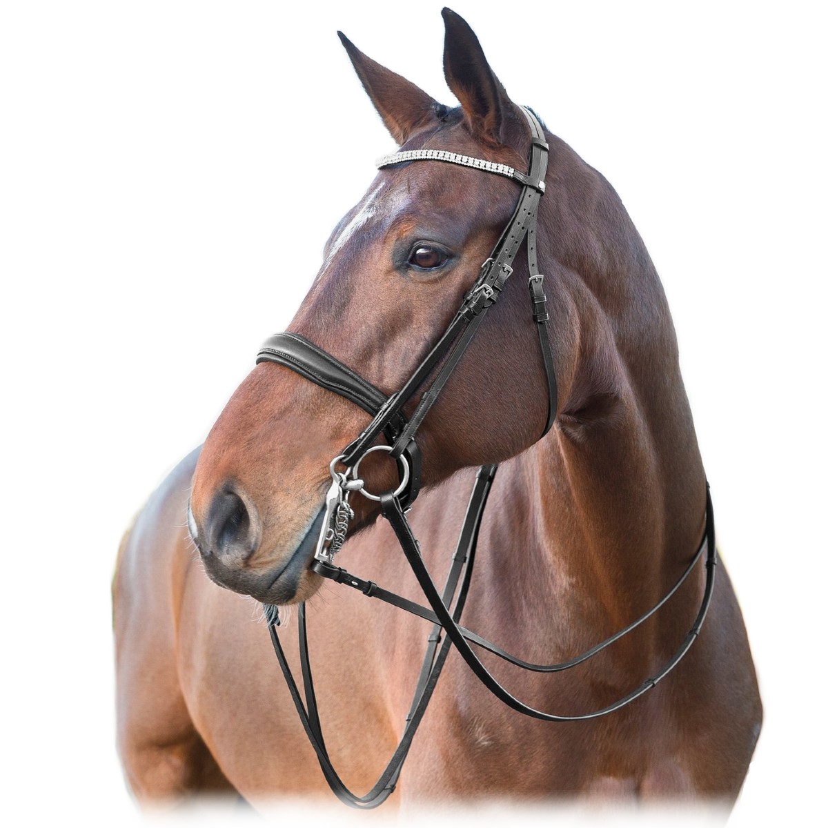 Оголовье мундштучное Horze Laelia Оголовье мундштучное Horze Laelia