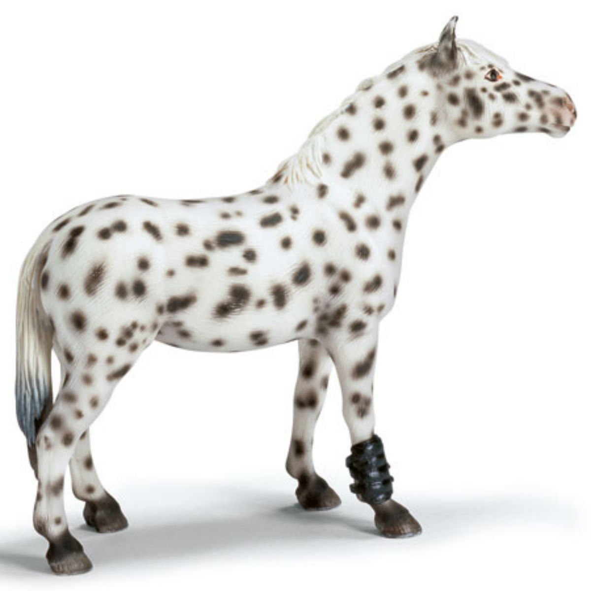 Кобыла кнабструппер