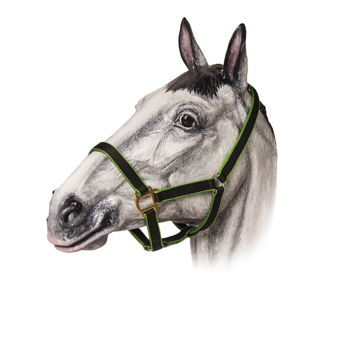 Недоуздок нейлоновый цветной "TAYGA"