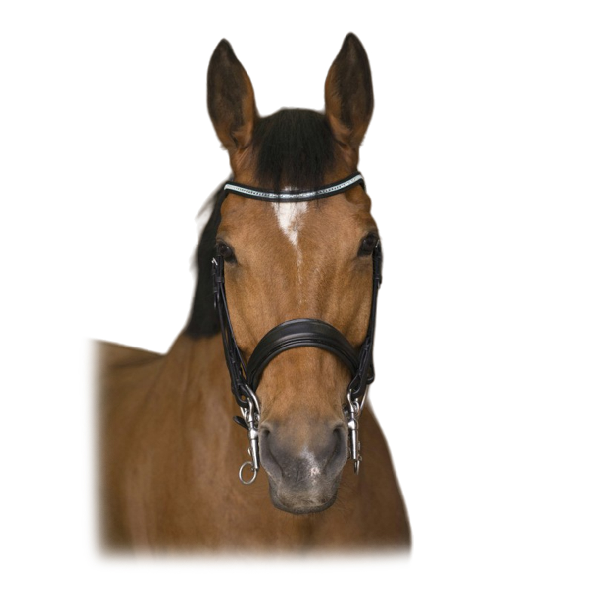 Оголовье мундштучное "DIADÈME"