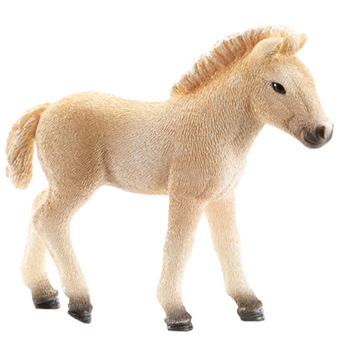 Жеребенок фьордский Жеребенок фьордский