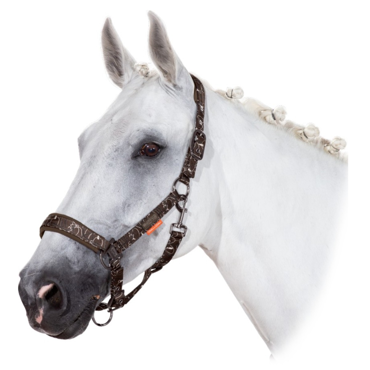 Недоуздок ESKADRON "PIN BUCKLE GLOSSY DESSIN PLATINUM 20", 410137834