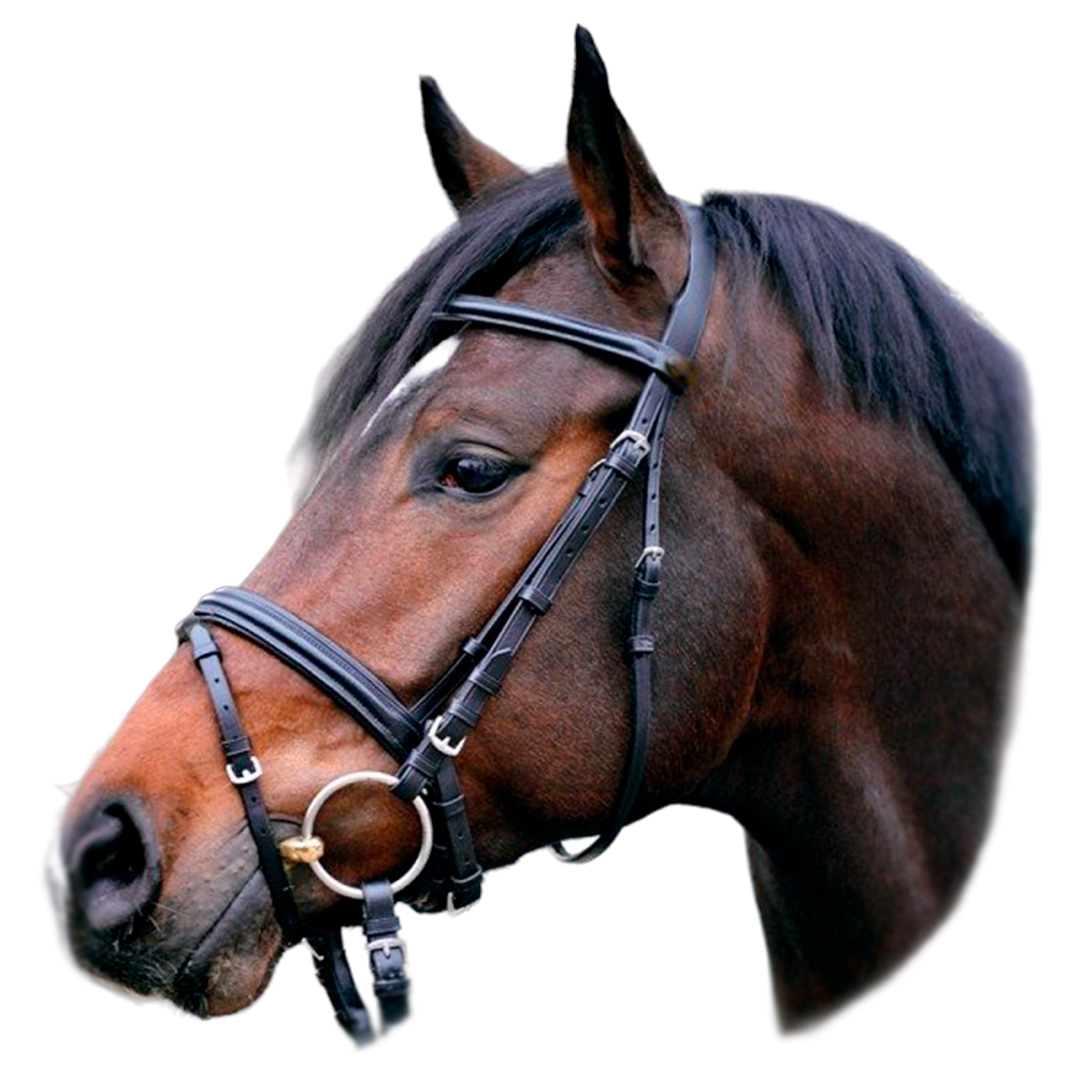 Оголовье трензельное с шведским капсюлем Оголовье трензельное с шведским капсюлем