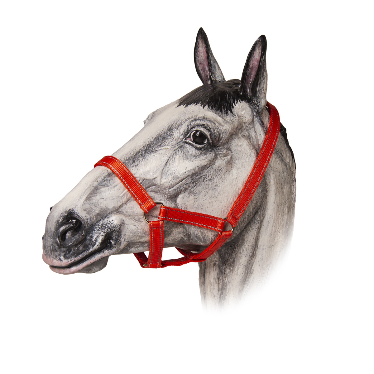 Недоуздок нейлоновый светоотражающий TAYGA