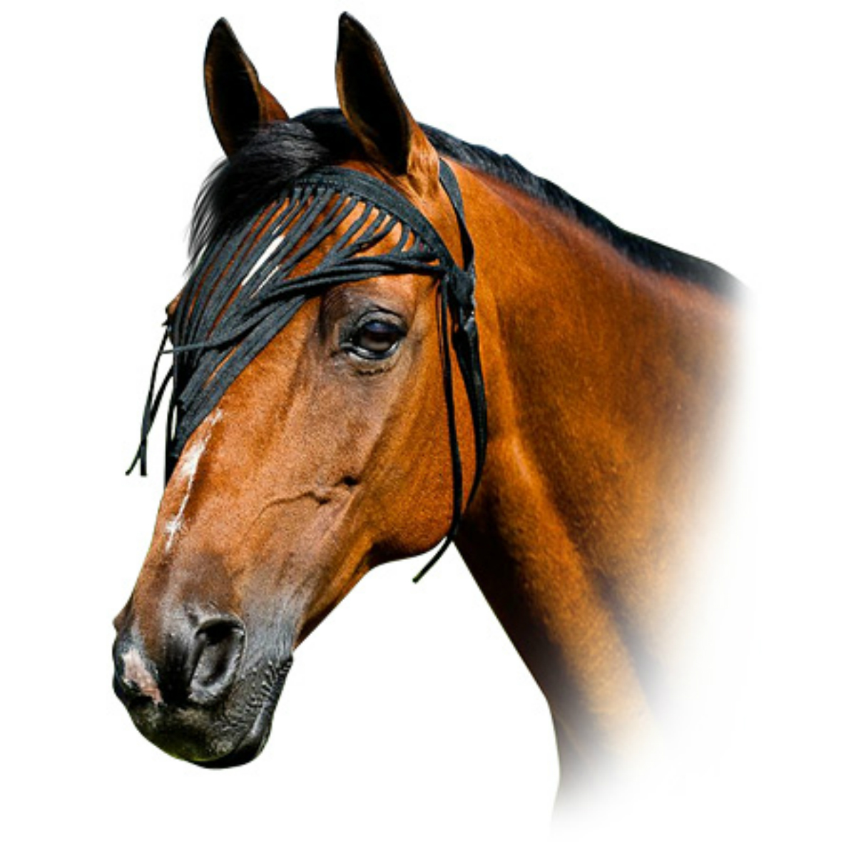 Налобник от насекомых Налобник от насекомых