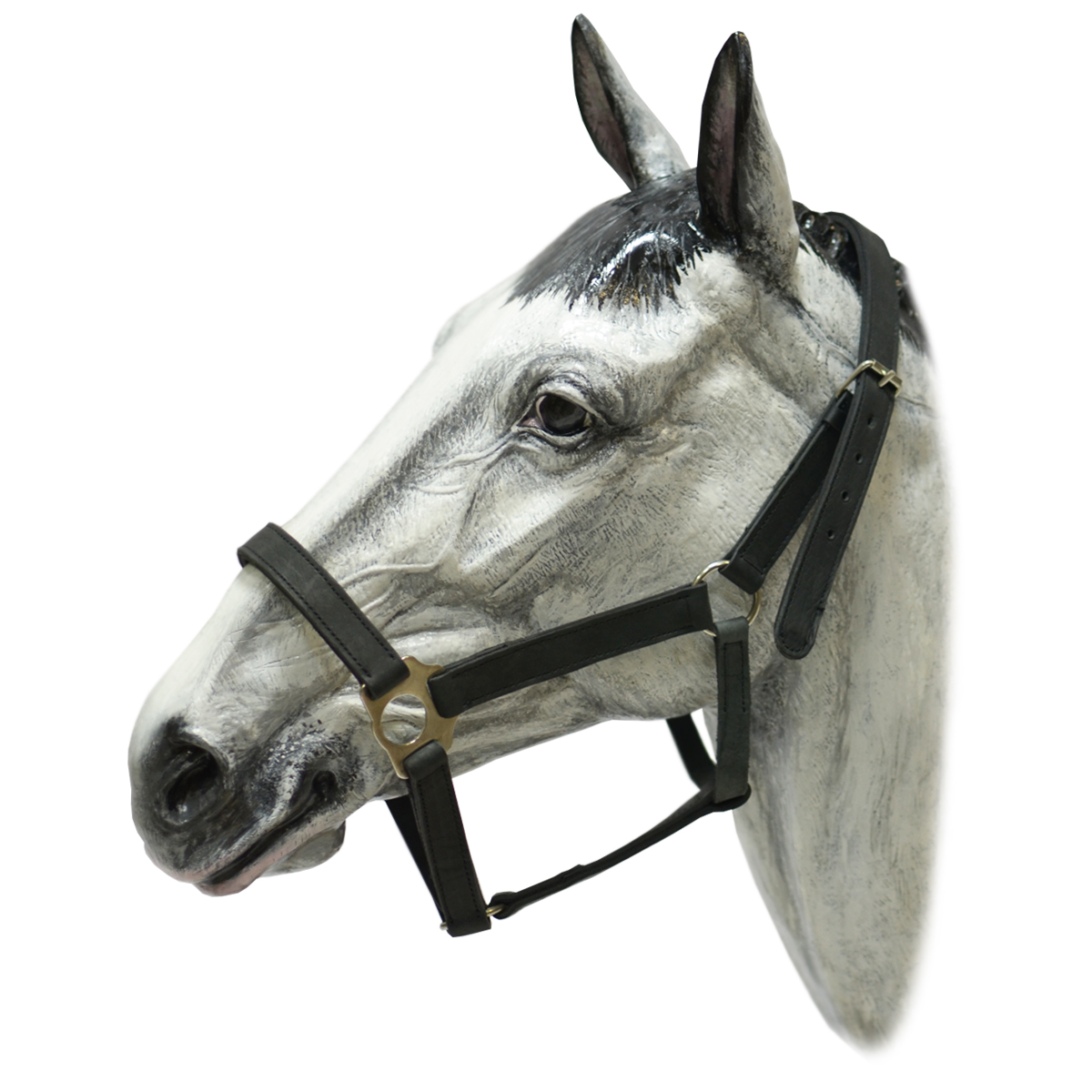 Недоуздок кожаный Недоуздок кожаный